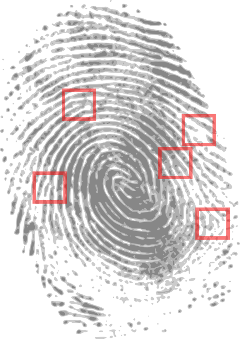 fingerprint, detective, criminal-146242.jpg
