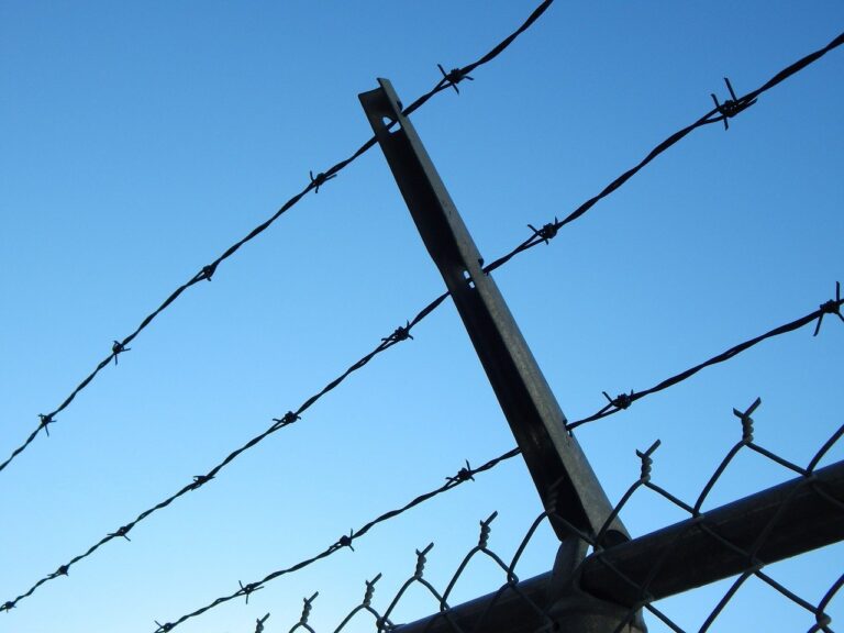 barbed wire, prison, chain link-482608.jpg