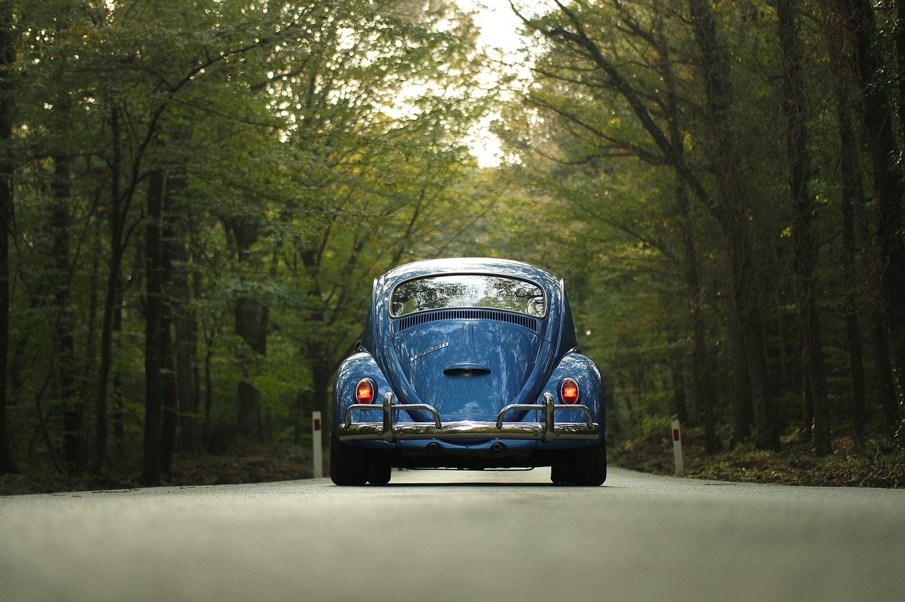 vw, beetle, car-1835506.jpg