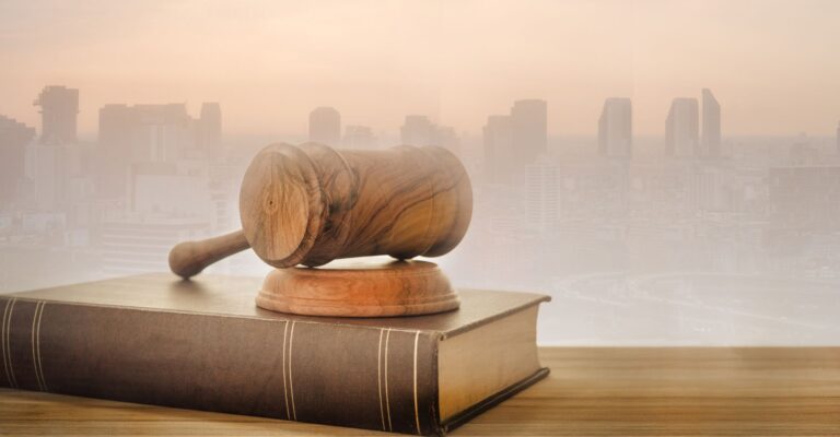 5 basic principles of Criminal Law