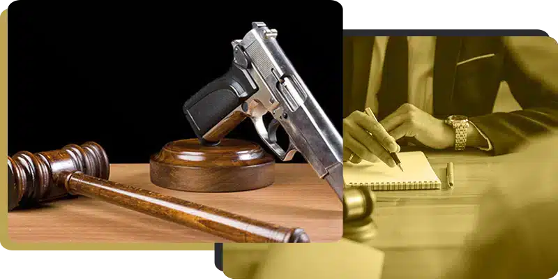 Family-lawyer-Sydney-Jameson-Law-01-Firearms law -