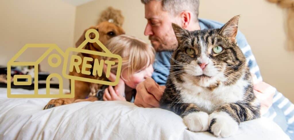 Need help understanding the new rental laws in NSW - Jameson Law