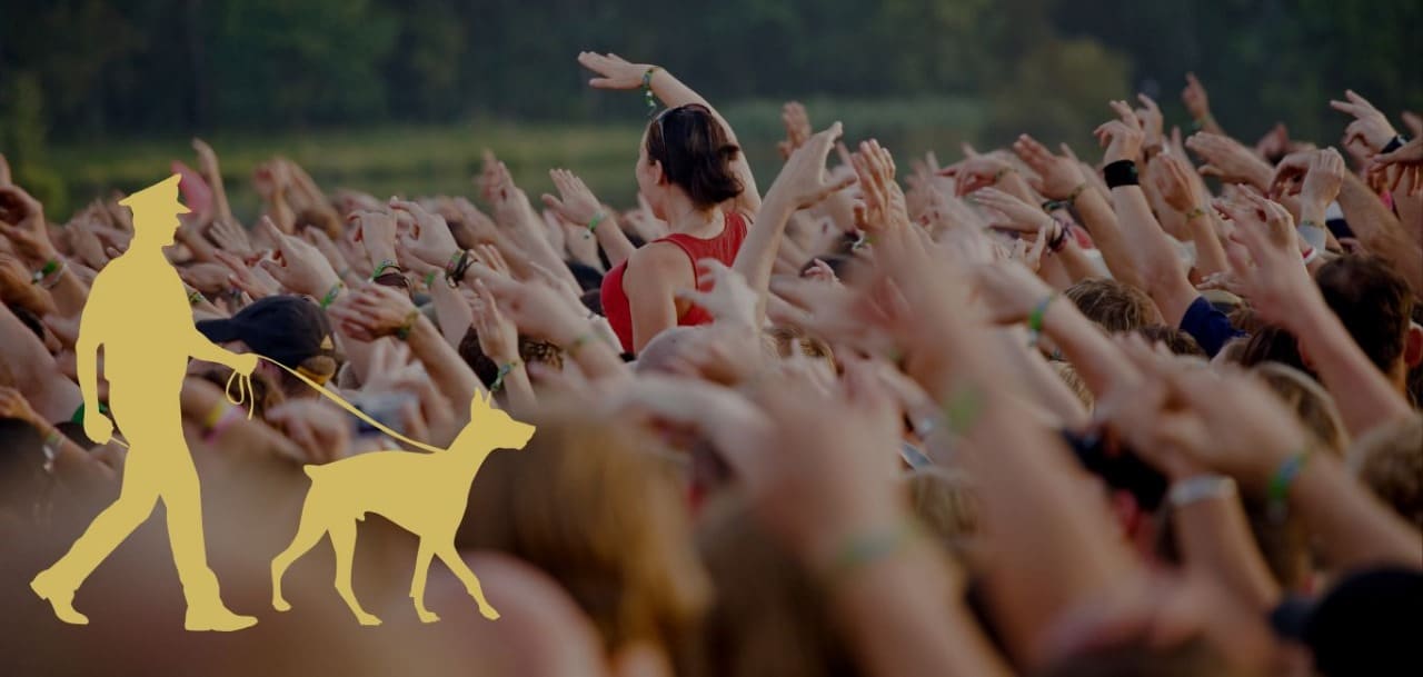 a group of people raising their hands