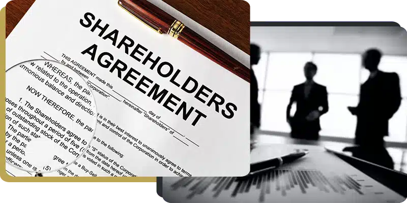 Shareholder Dispute Lawyers Jameson Law Shareholder Dispute Lawyers - Jameson Law