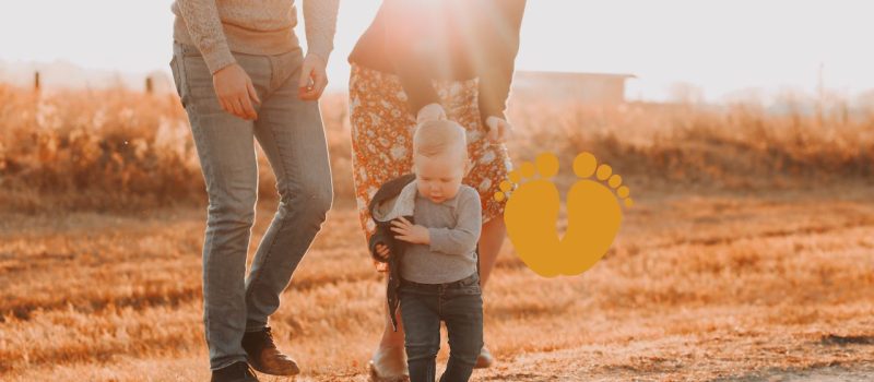 care and protection Law care and protection