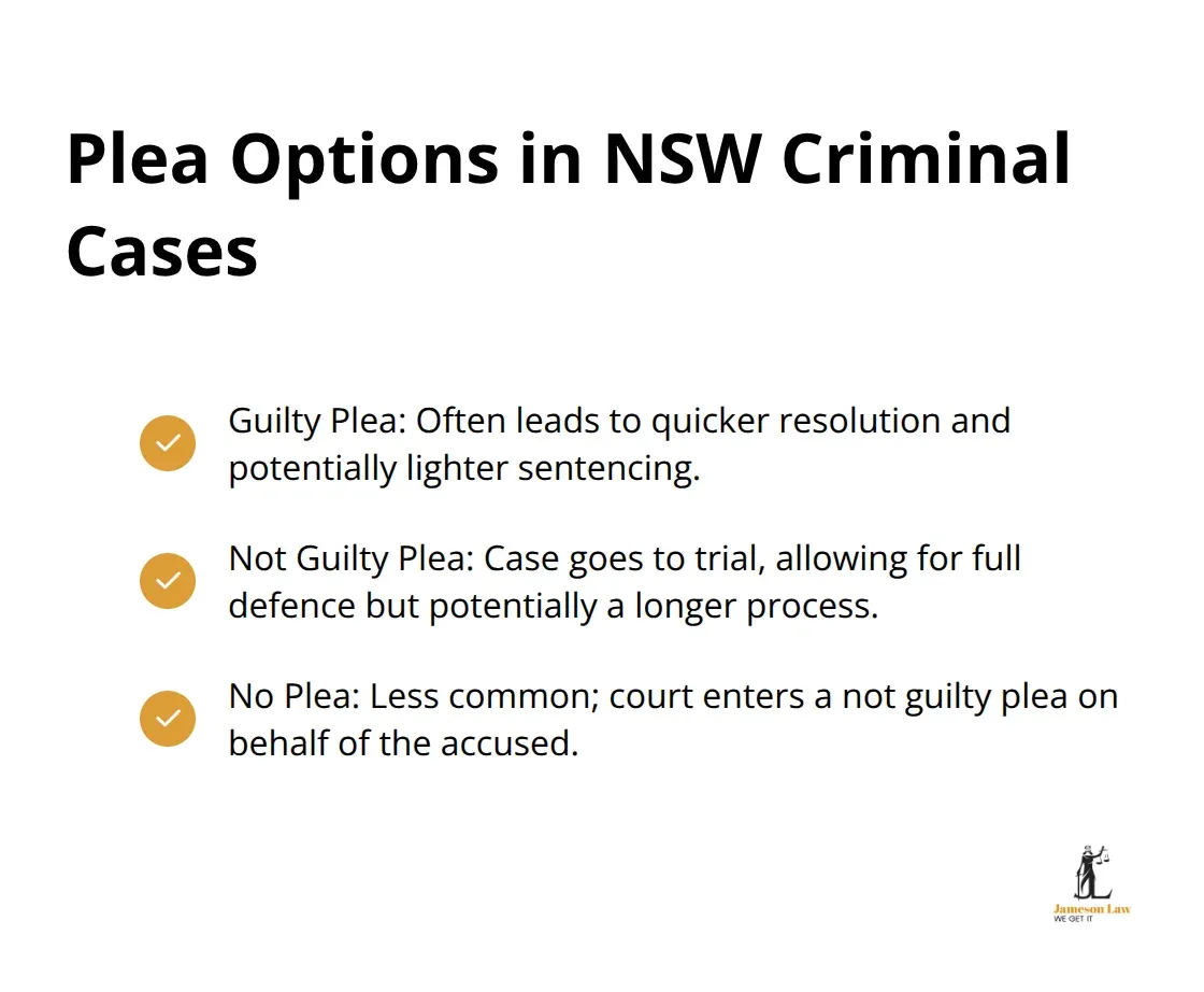 A checkmark list chart showing the three main plea options available in New South Wales criminal cases: Guilty Plea, Not Guilty Plea, and No Plea. - criminal law 7th edition
